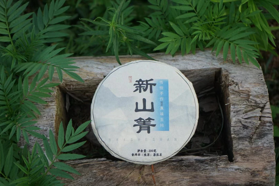 2022年莽枝普洱茶生茶 新山箐 乔木 春茶头采