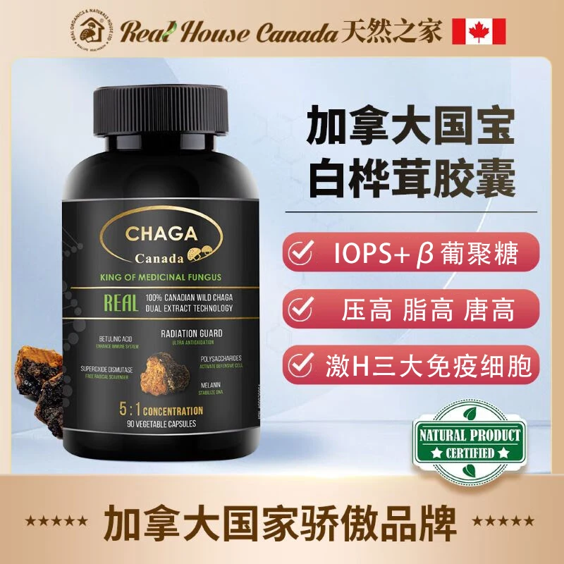 RealHouse野生桦树茸胶囊SOD超氧化物歧化酶白桦茸IOPS多糖K辐射