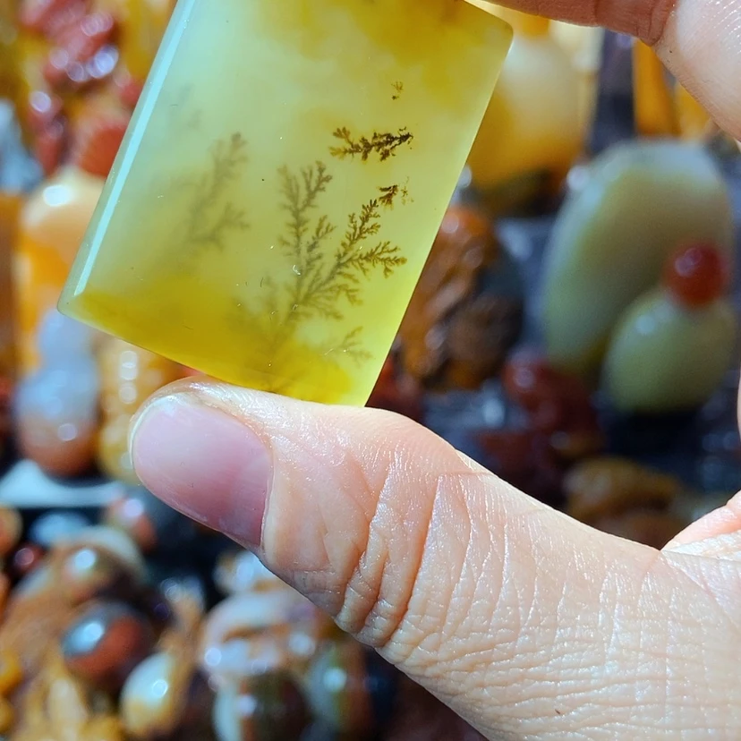 【闪购商品】石英质玉(黄龙玉)颈饰未镶嵌