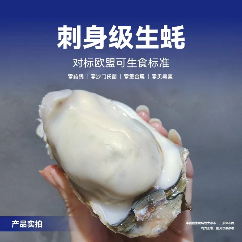 牧渔归12只活发生鲜肉厚M3  140-190g刺身生蚝鲜活包鲜基地发货