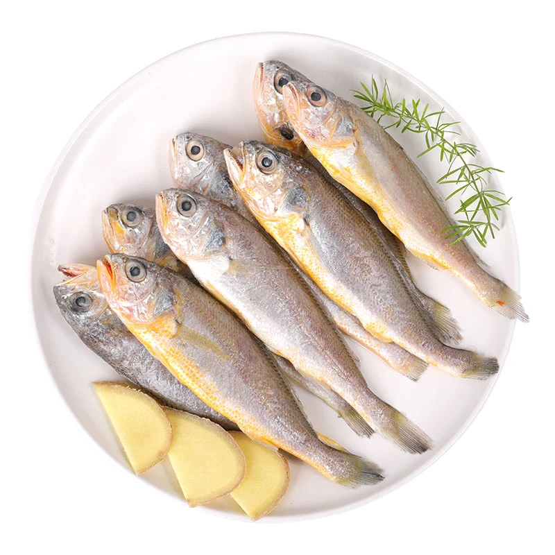 冷冻黄瓣鱼【老笨生鲜】10元起送，98包邮