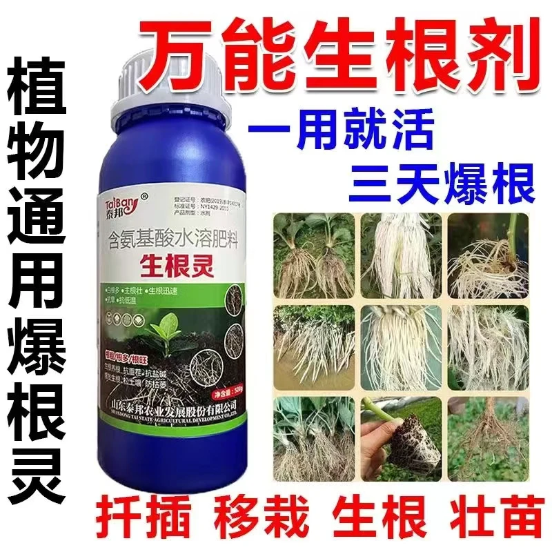 进口生根液生根壮苗剂速效生根液大树移植苗木扦插月季果树生根