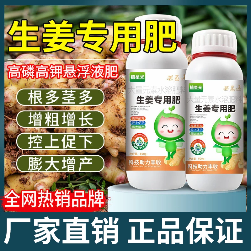 生姜膨大剂地下根茎膨大素生根水溶肥洋姜大姜沙姜增产专用叶面肥