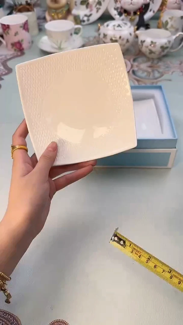 【闪购商品】瓷片535
