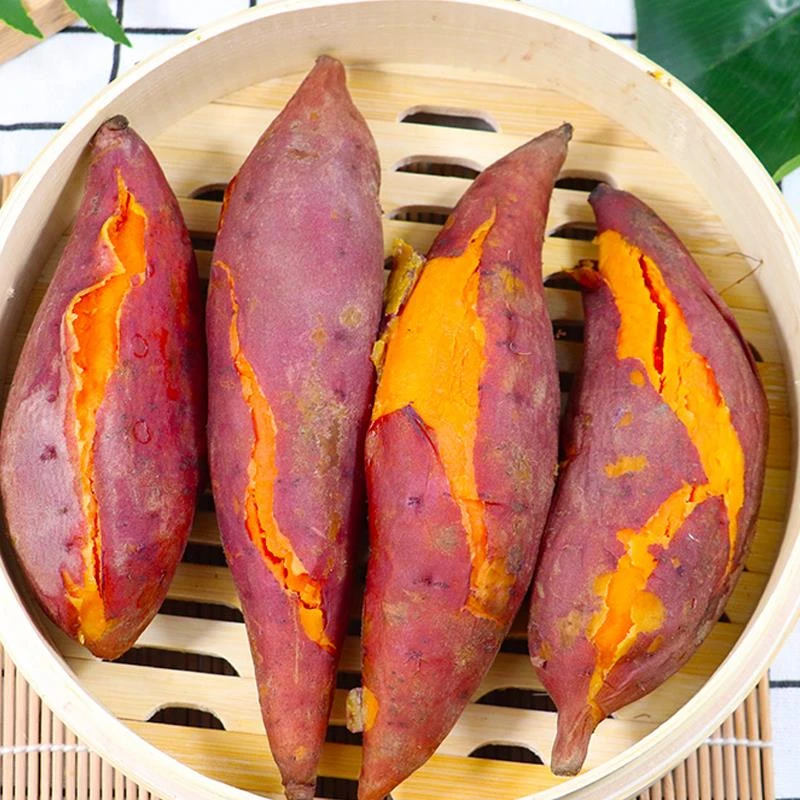 【晴子专属】河南开封西瓜红红薯5斤农家自种新鲜蜜薯坏果包赔