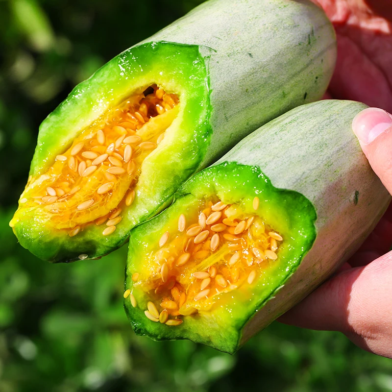 【鲜味居】山东现摘羊角蜜甜瓜3/4.5斤新鲜水果应当季甜瓜羊角蜜