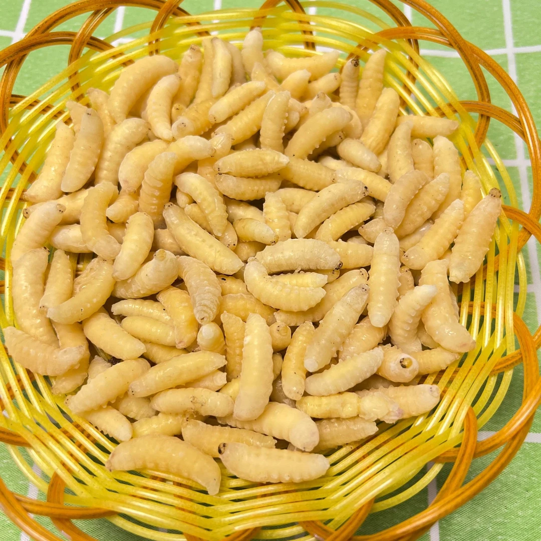 [蜂多多]1 2级高蛋白纯蜂蛹，绝配下酒菜