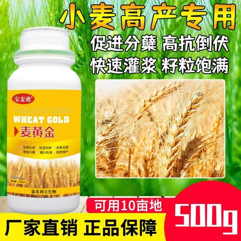 麦黄金小麦增产套餐增穗粒抗倒抗病产品促返微水溶肥料中微量元素