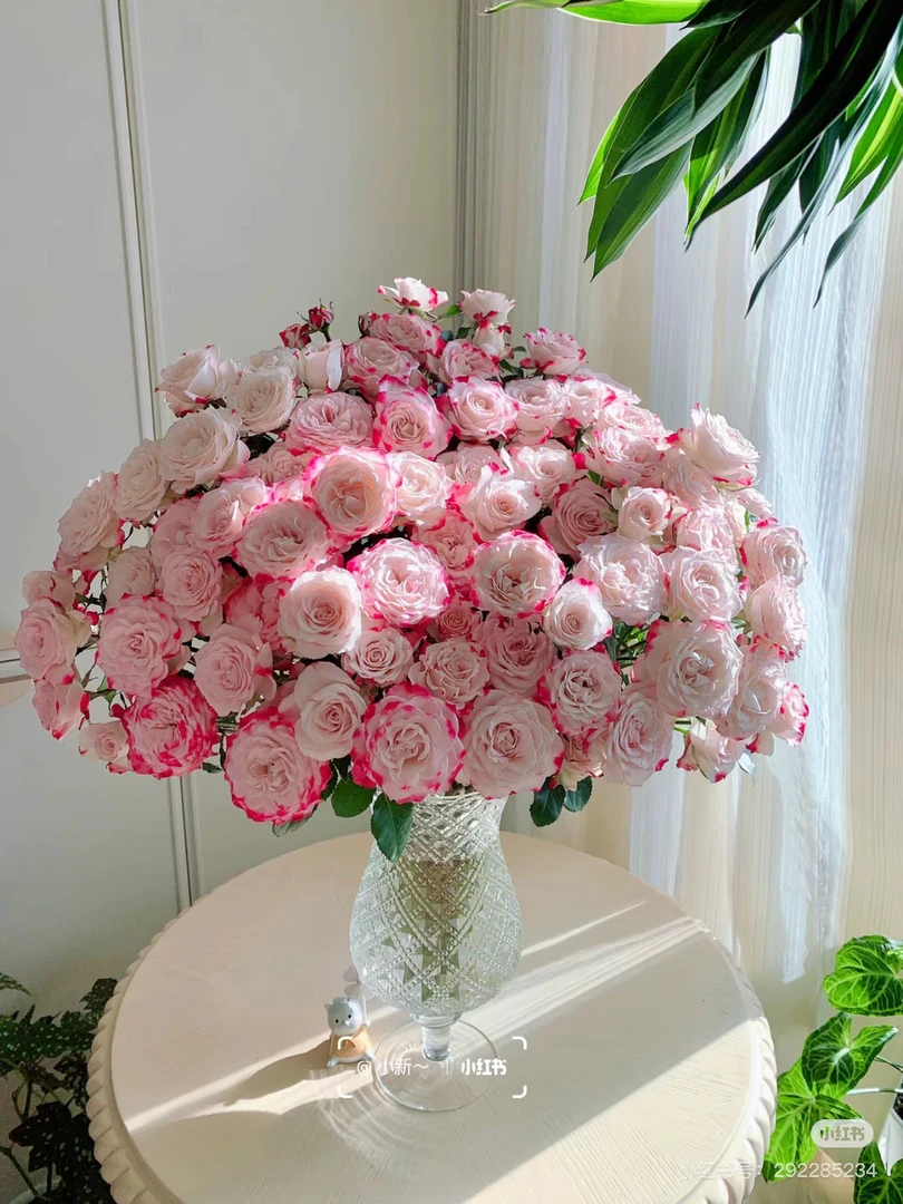 （全店3单发）折射泡泡玫瑰10支《姜姜好鲜花》