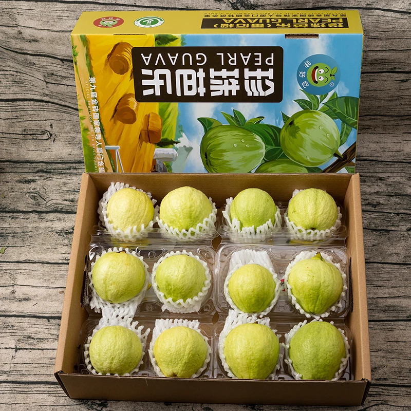 【乐鲜果园】珍珠芭乐番石榴6斤当季新鲜水果 顺丰快递