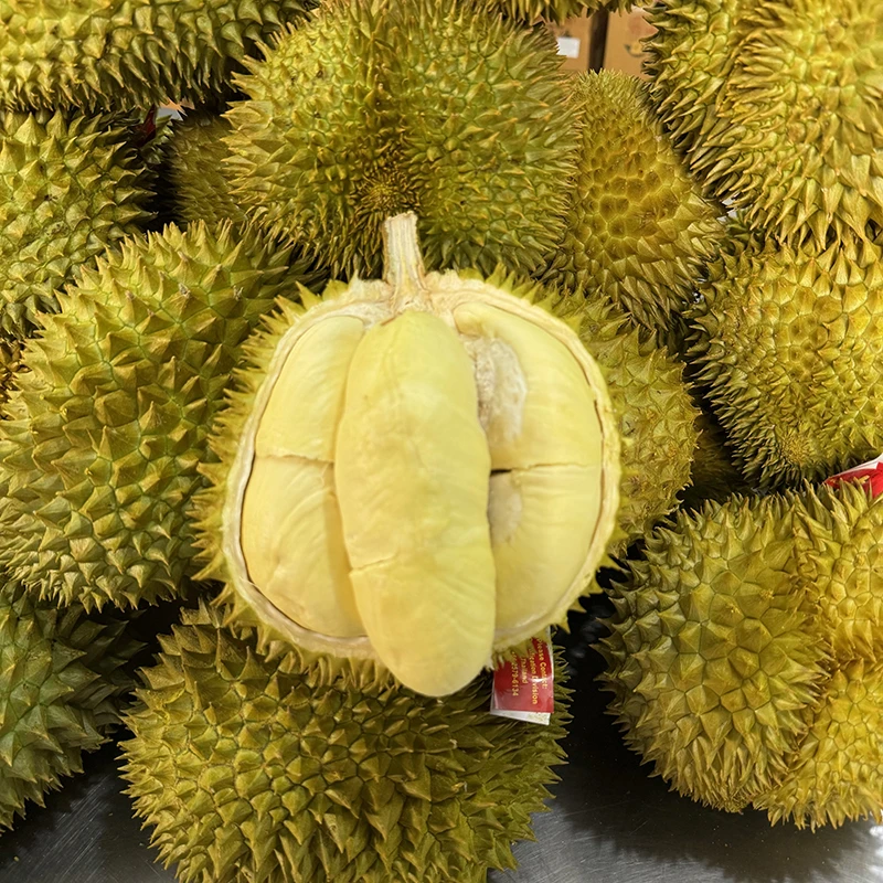 【乐鲜果园】泰国巴掌榴莲当季鲜果1个装 顺丰快递