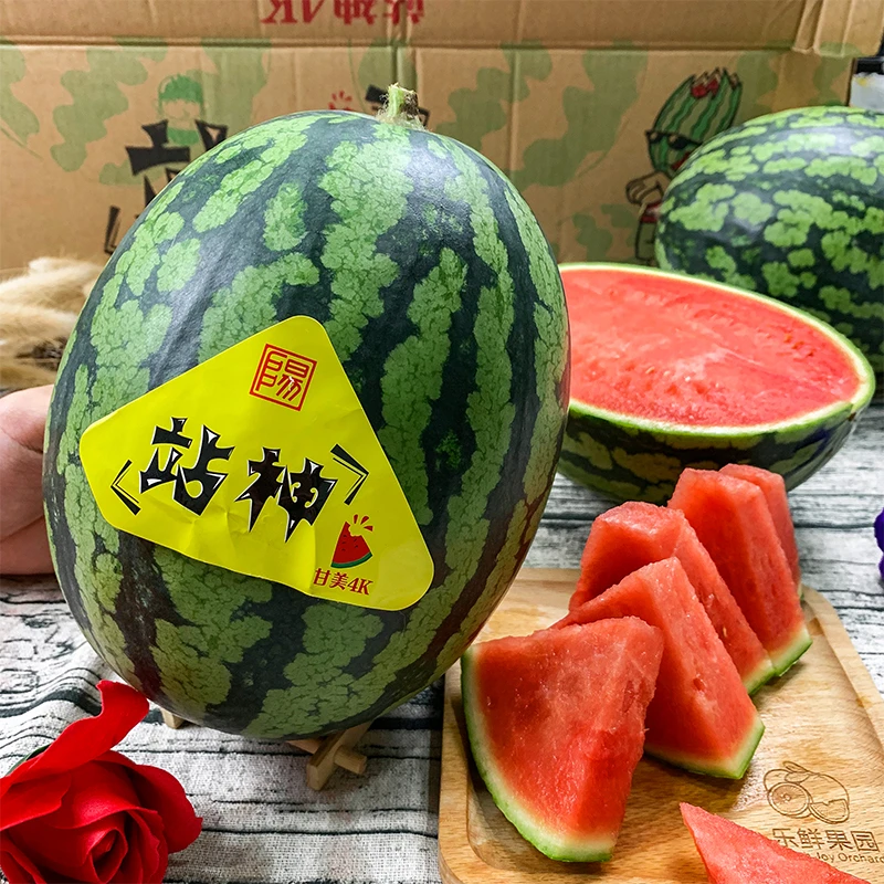 【乐鲜果园】站神甘美4K西瓜一个4斤起当季新鲜西瓜