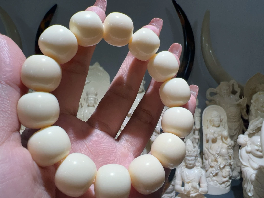 老型珠1.5乘1.6（按条卖）可收可盘