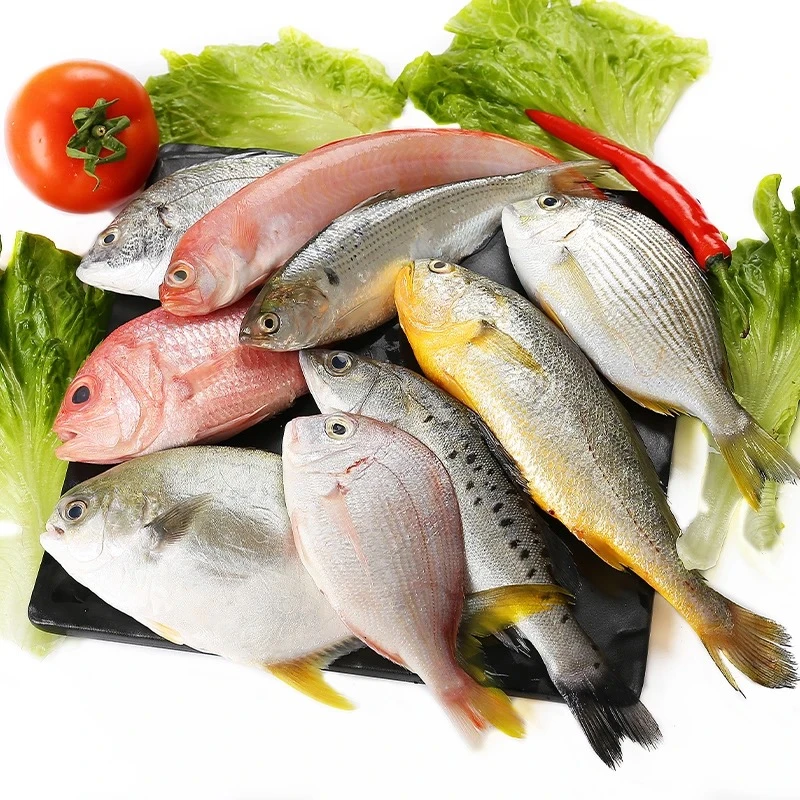 东海海捕纯野生杂鱼代拍链接