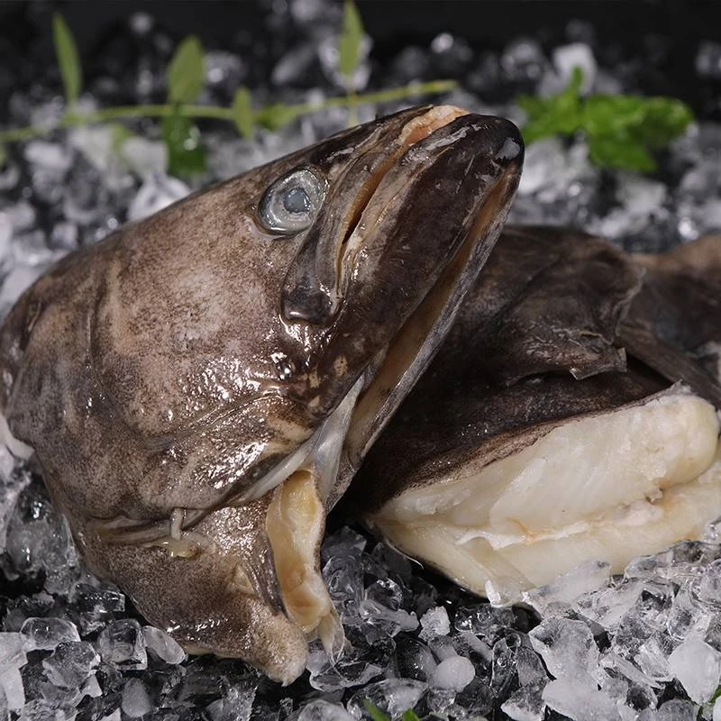 大鲽鱼头冷冻超大鸭片蝶鱼头比目鱼头净重2.5斤左右有包冰