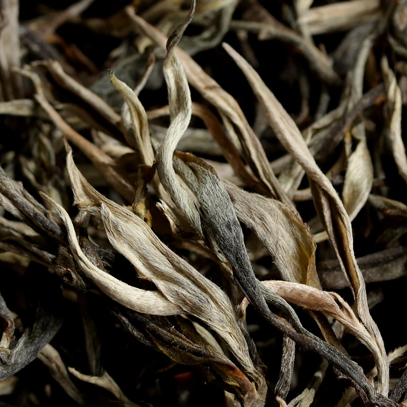 2025昔归古树普洱茶春茶生茶散茶生普250克装