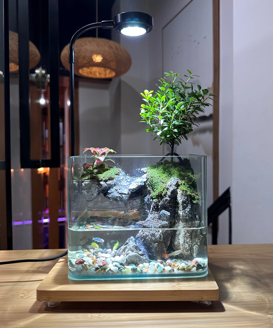 山水涧【平川】爆款——桌面原创植物组合成品造景（附水泵）