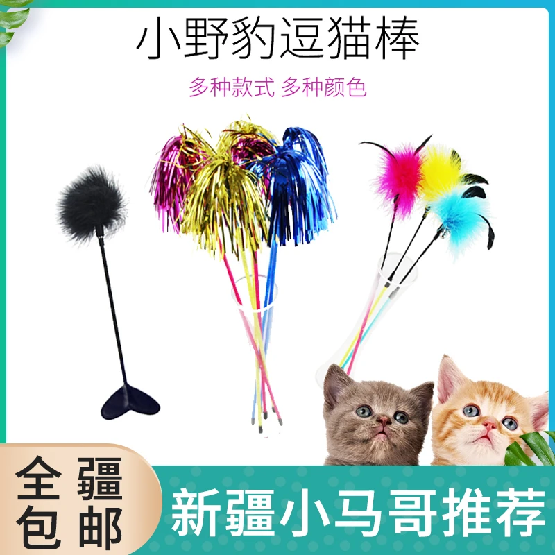 新疆包邮小野豹逗猫棒山鸡毛逗猫杆彩色羽毛逗猫玩具