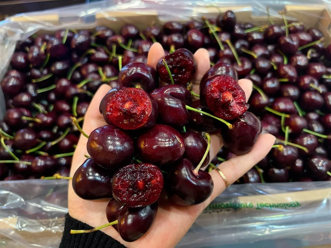 智利2J车厘子1kg [直播间福利]]