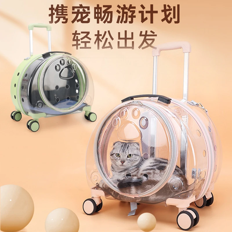宠物箱新款透明简约大容量便携创意宠物双肩包太空舱狗狗行李箱