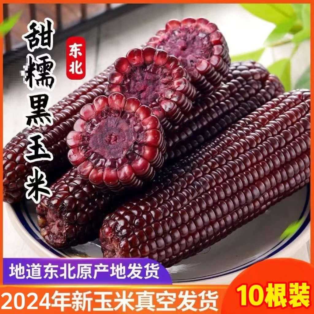2024头茬黑糯玉米【10根试吃2根】东北新鲜采摘黑糯甜糯粘苞米