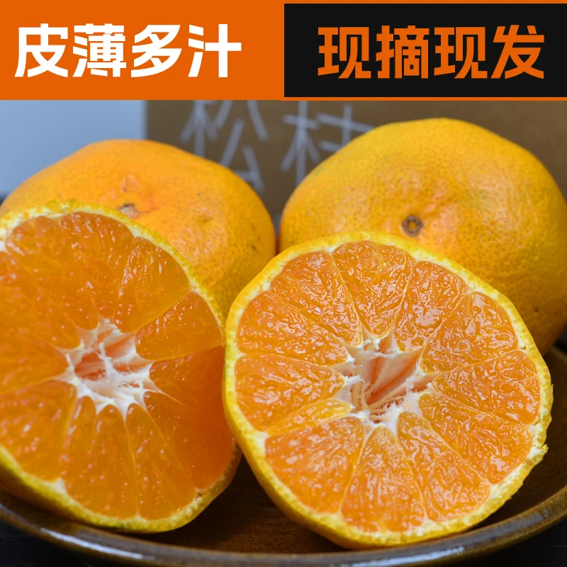 海塘橘浙江蜜桔当季新鲜桔子现摘现发酸甜多汁细腻无籽无渣柑橘
