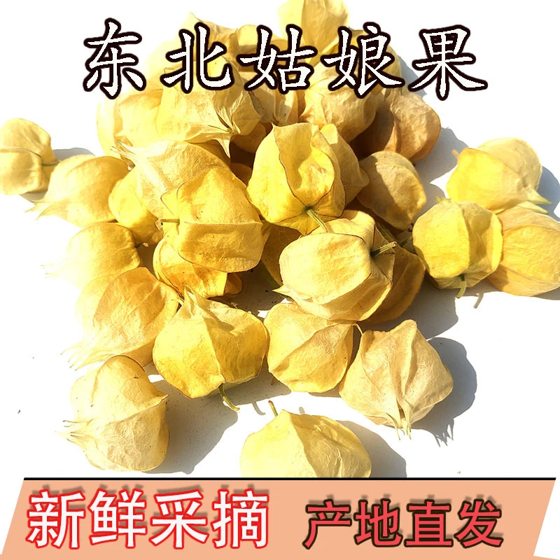 东北新鲜水果菇娘果现货姑娘果灯笼果新鲜大果黄姑娘果洋姑娘应季