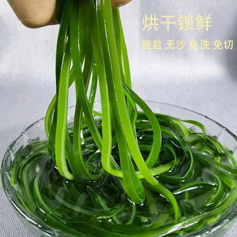 压缩海带丝烘干片霞浦干净无沙22克独立包装厂家直发凉拌火锅食材