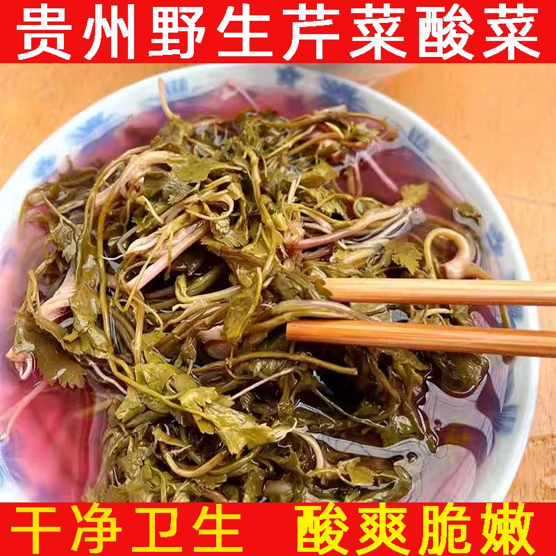 贵州特产酸芹菜新鲜酸菜野生细叶芹农家特色无盐酸菜食用泡菜酸菜