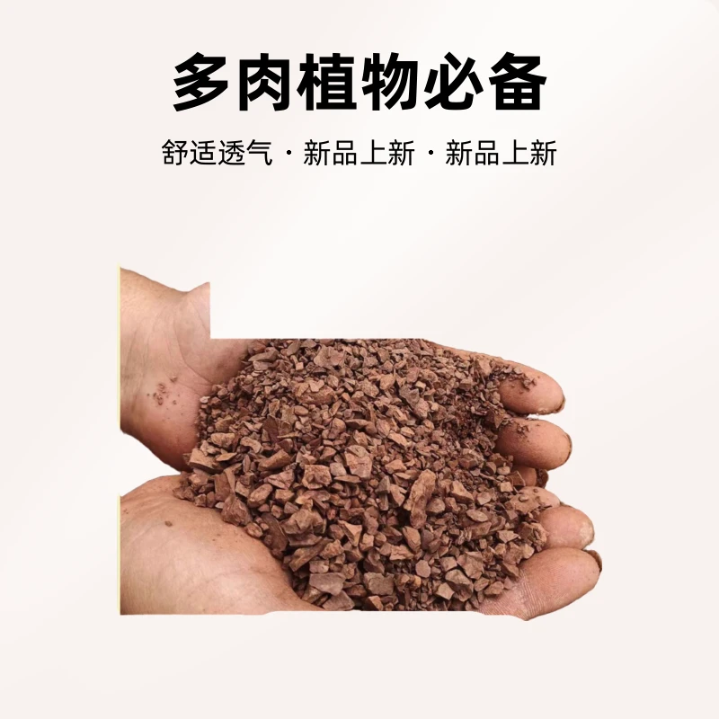 金弹子，多肉，家庭园艺风化土/营养土价格一样  天然生根疏松透气