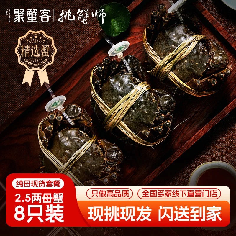 【活蟹】聚蟹客 高品质大闸蟹2.5两母蟹八只装