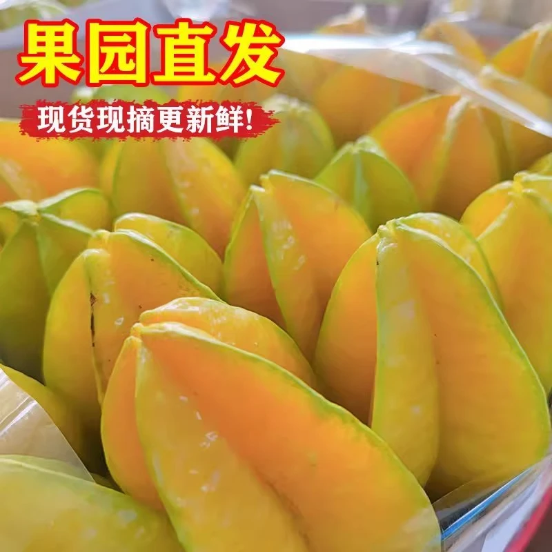 福建下河杨桃 甜五角星新鲜当季水果当季孕妇水果