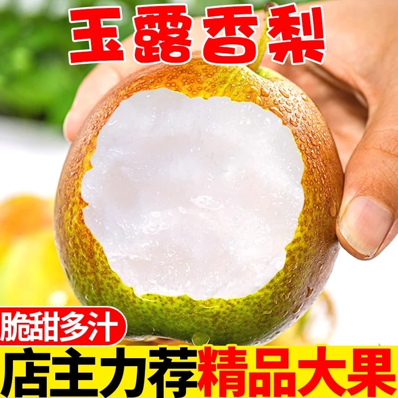 玉露香梨脆甜梨子水果新鲜当季整箱应季