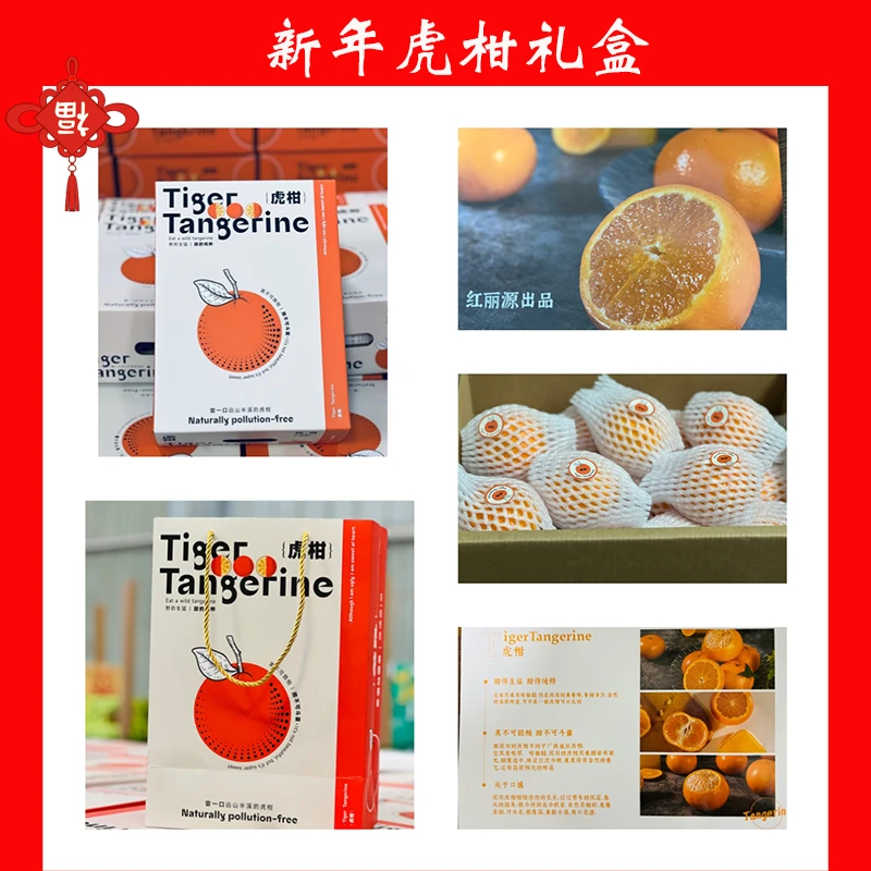 【新年礼虎柑】云南高原虎柑4斤装13-20枚 送手提礼袋~