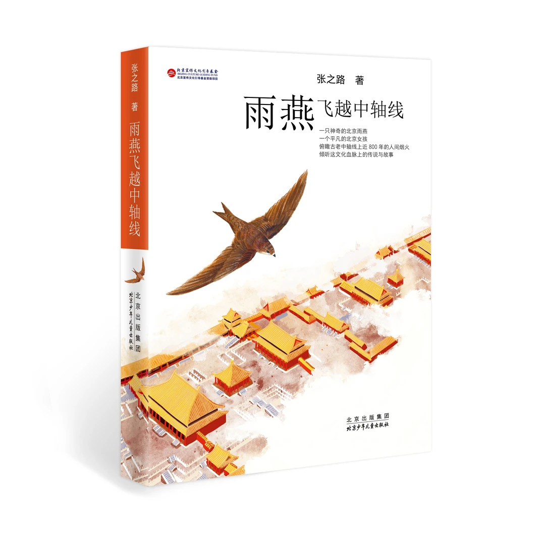 雨燕飞越中轴线 张之路作品