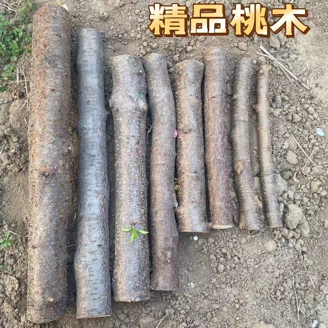 桃木棒原圆木棍真桃树枝雕刻手工桃木料剑簪子摆挂件老树东南枝