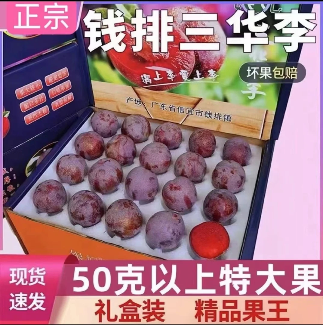 【五斤果王礼盒装】红心芙蓉李大果李子现摘新鲜脆甜多汁应季水果