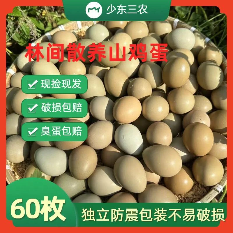 【60枚装更划算】七彩山土鸡蛋当日现捡现发新鲜17个左右野山鸡蛋