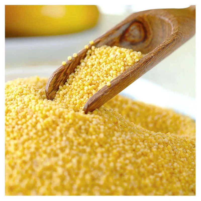 大金苗k1小米5斤包邮