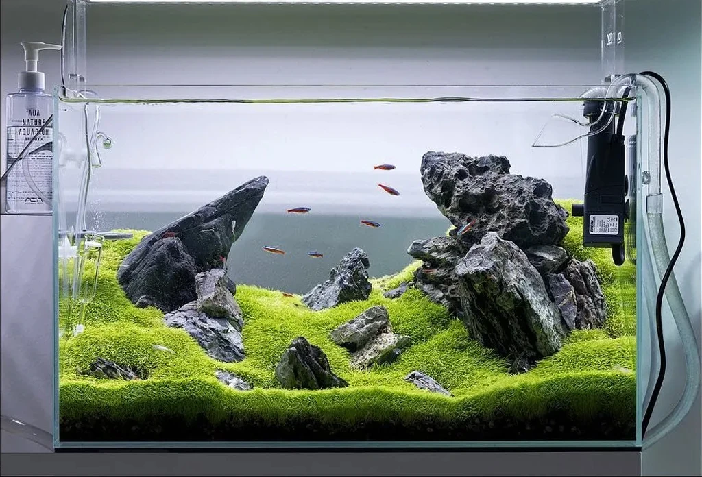 小鱼缸体造景骨架(不包底砂绿植)鱼缸装饰造景