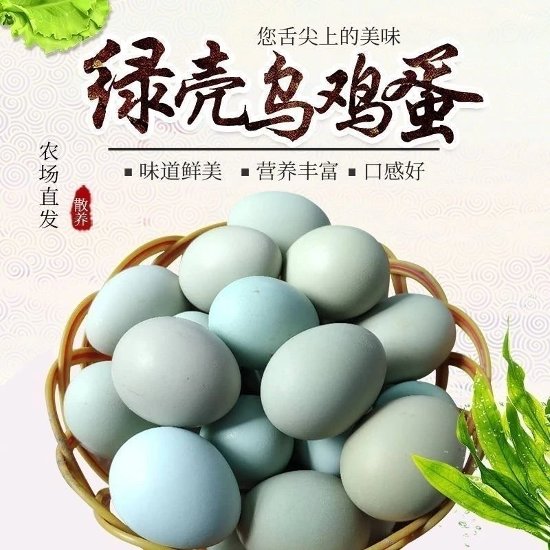 【破损包赔】绿壳乌鸡蛋正宗农家散养土鸡蛋月子蛋营养新鲜现捡现发