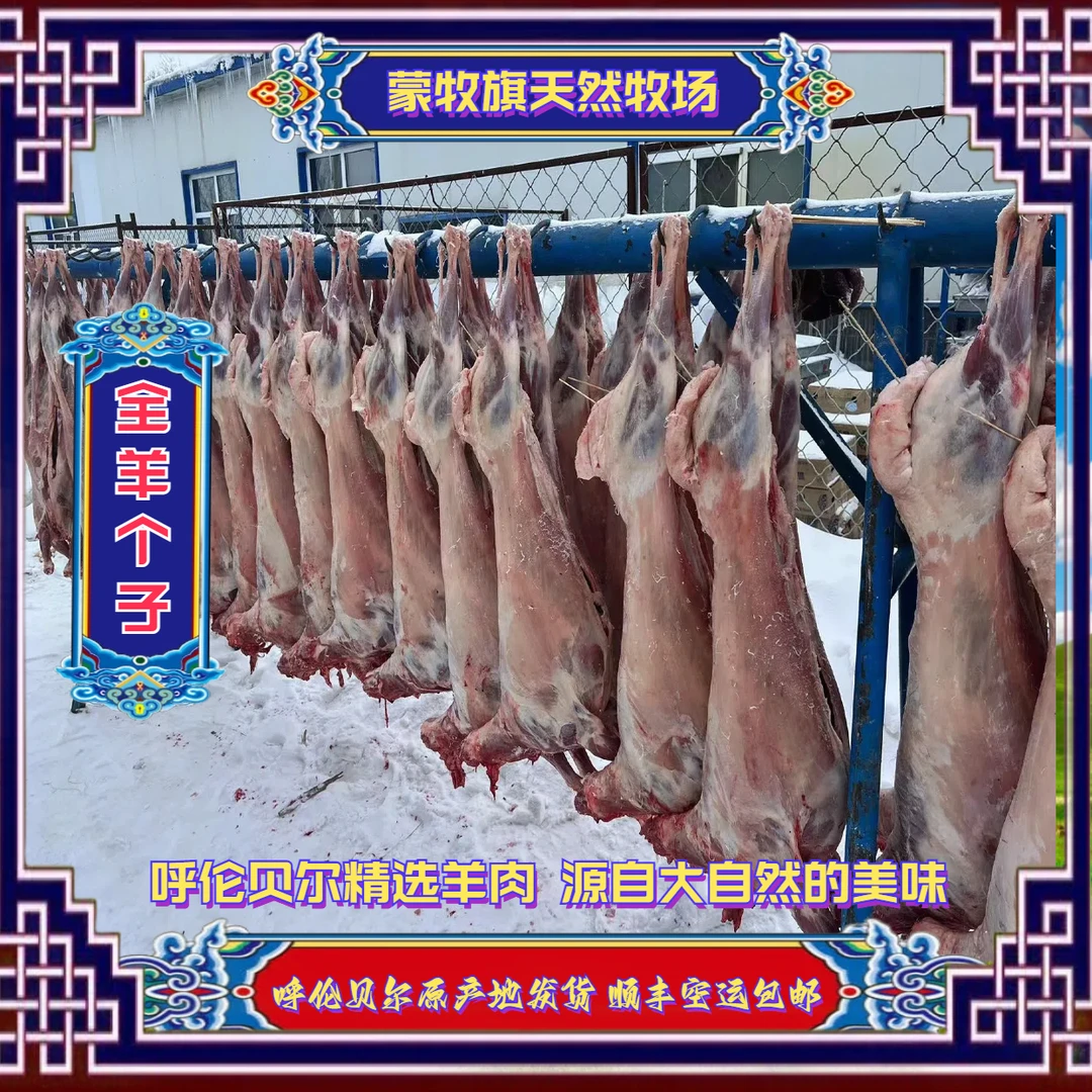 【巴尔虎全羊】呼伦贝尔巴尔虎草原天然草饲放养当年小羊羔鲜嫩空运