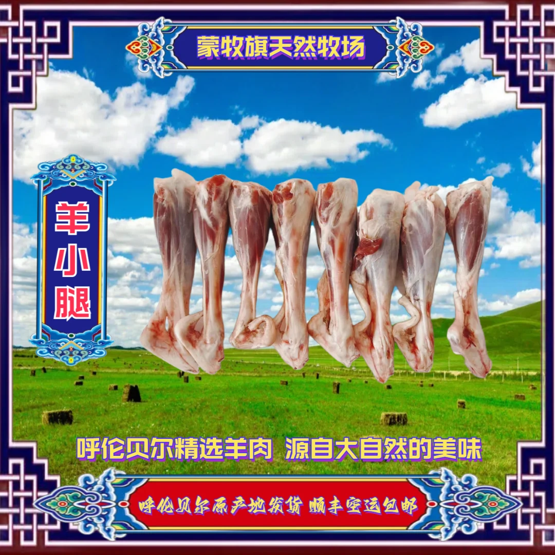 羊小腿（速冻标品）呼伦贝尔草原散养羔羊肉牧场火锅鲜嫩品质无膻味