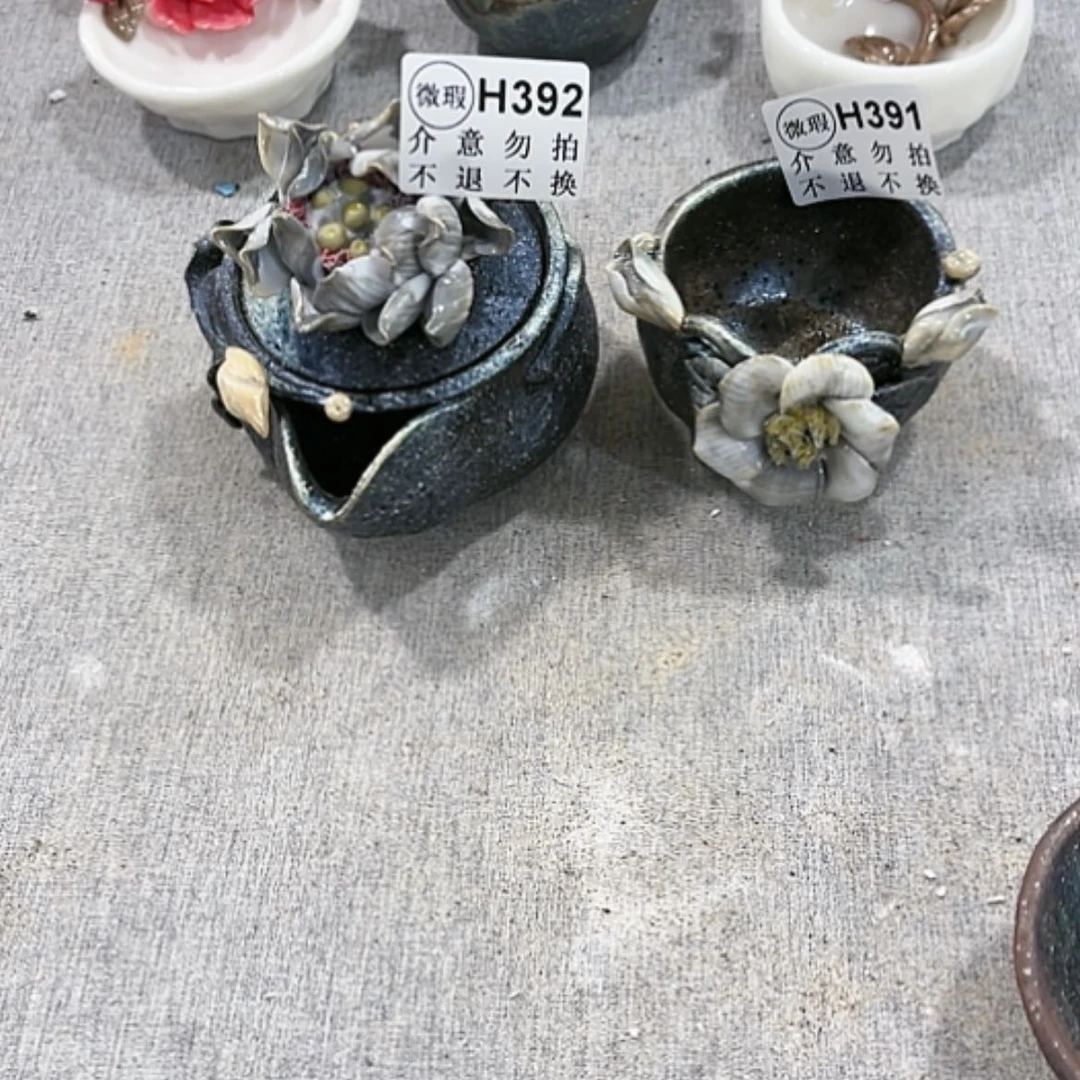 【闪购商品】陶涵***馆392