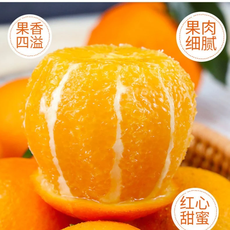 新人见面礼 江西赣南脐橙新鲜应季水果产地直发20斤装包邮