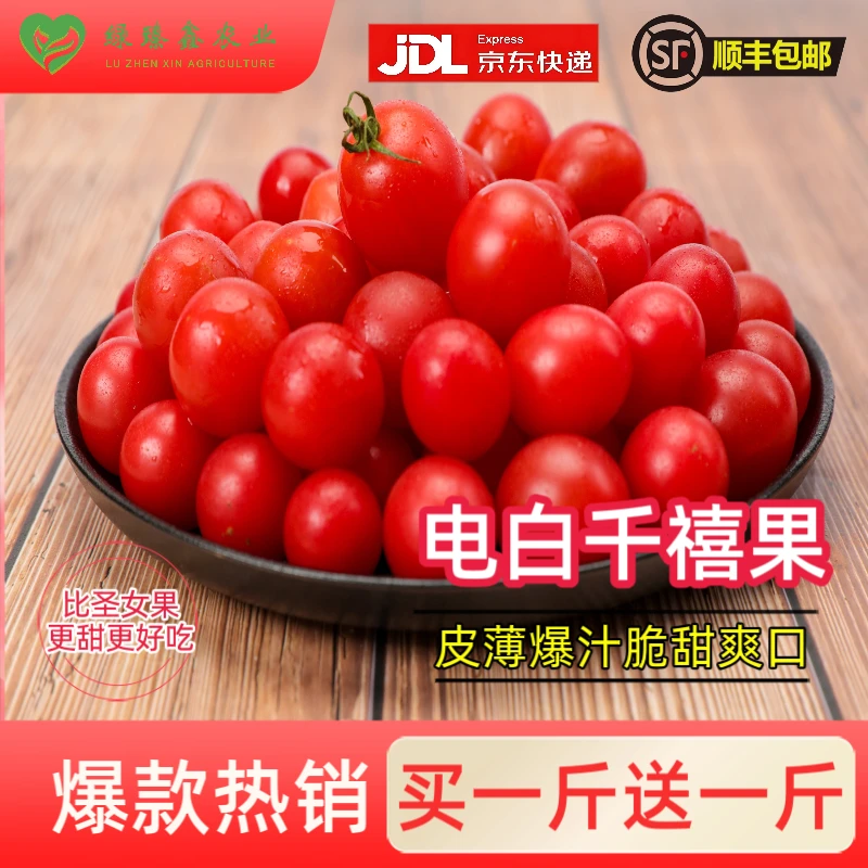 【电白】正宗冰糖千禧果买一送一【顺丰包邮】圣女果现发皮薄爆汁脆爽