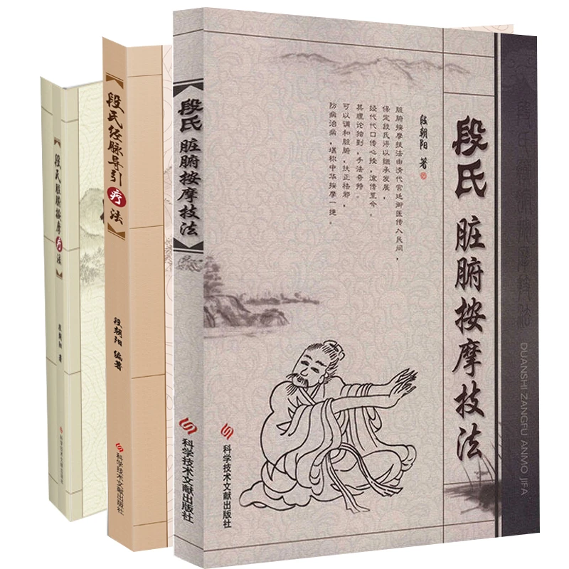 段氏脏腑按摩技法  健康书籍