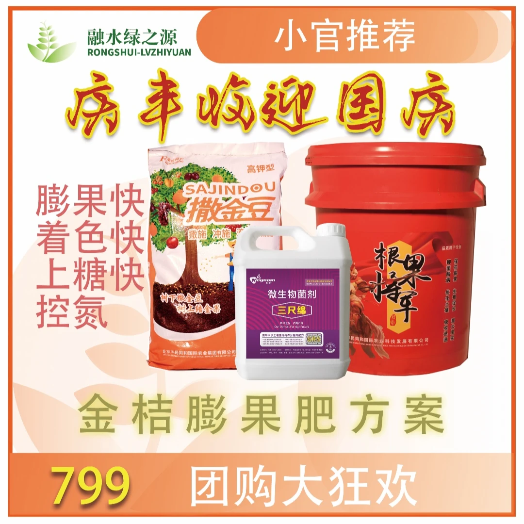 金桔膨果生根方案