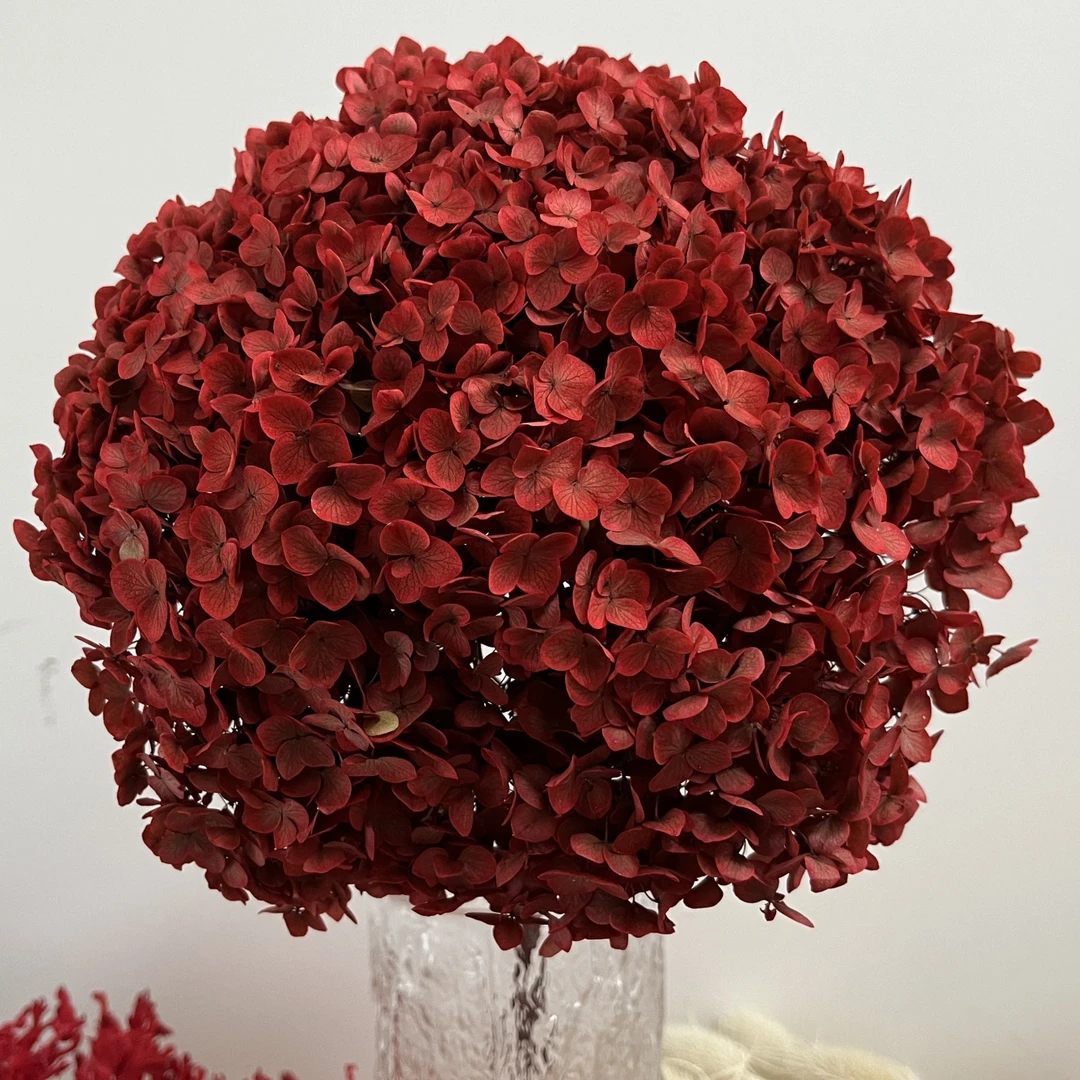 高端时尚永生花单支多支讨女朋友喜爱礼物高雅情感花束让爱永存