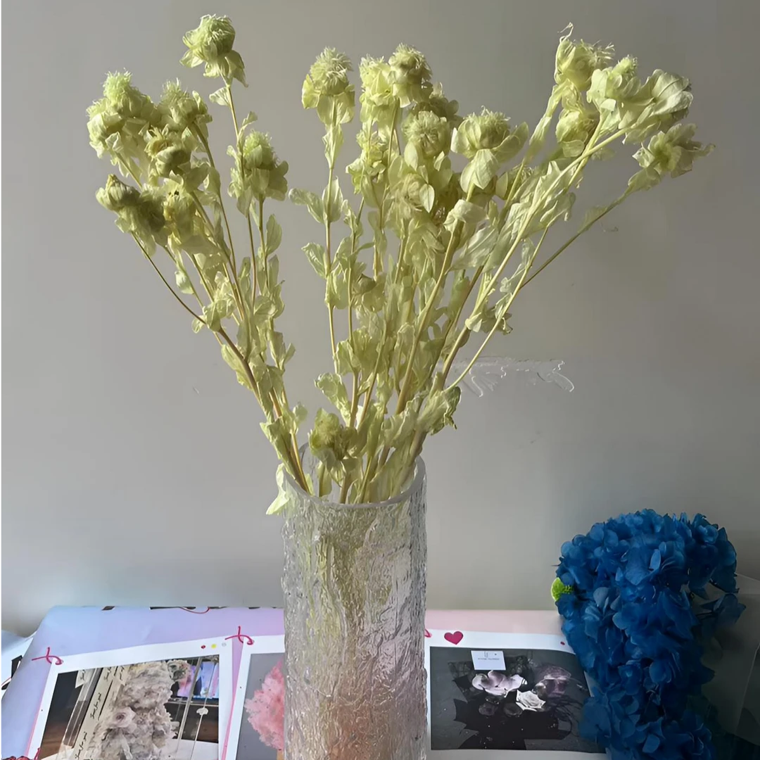 永生花橙菠萝家居装饰